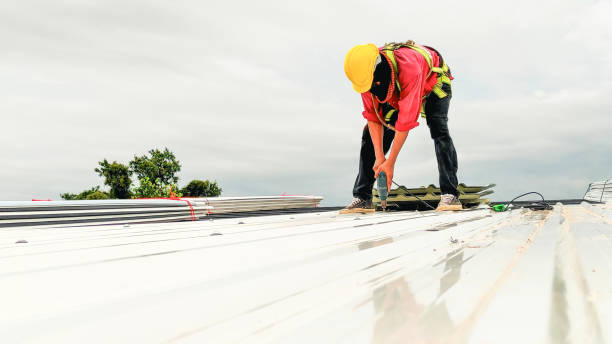 Best Roof Moss and Algae Removal  in Le Sueur, MN